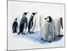 Close-Up of an Emperor Penguin with its Chick (Aptenodytes Forsteri)-null-Mounted Giclee Print