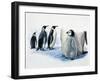 Close-Up of an Emperor Penguin with its Chick (Aptenodytes Forsteri)-null-Framed Giclee Print