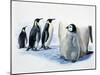 Close-Up of an Emperor Penguin with its Chick (Aptenodytes Forsteri)-null-Mounted Giclee Print