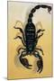 Close-Up of an Emperor Scorpion (Pandinus Imperator)-null-Mounted Giclee Print