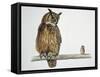 Close-Up of an Eurasian Eagle Owl (Bubo Bubo) Perching on a Branch with an Eurasian Pygmy Owl (Glau-null-Framed Stretched Canvas