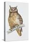 Close-Up of an Eurasian Eagle Owl Perching on the Branch (Bubo Bubo)-null-Stretched Canvas