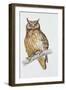 Close-Up of an Eurasian Eagle Owl Perching on the Branch (Bubo Bubo)-null-Framed Giclee Print