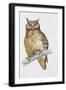 Close-Up of an Eurasian Eagle Owl Perching on the Branch (Bubo Bubo)-null-Framed Giclee Print