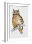 Close-Up of an Eurasian Eagle Owl Perching on the Branch (Bubo Bubo)-null-Framed Giclee Print