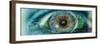 Close-Up of an Eye with Tech Diagrams in Abstract-null-Framed Photographic Print