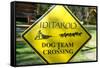 Close-up of an Iditarod Crossing Sign, Alaska-Rick Daley-Framed Stretched Canvas