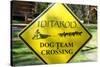 Close-up of an Iditarod Crossing Sign, Alaska-Rick Daley-Stretched Canvas