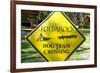 Close-up of an Iditarod Crossing Sign, Alaska-Rick Daley-Framed Photographic Print