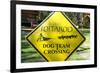 Close-up of an Iditarod Crossing Sign, Alaska-Rick Daley-Framed Photographic Print