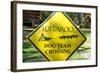 Close-up of an Iditarod Crossing Sign, Alaska-Rick Daley-Framed Photographic Print