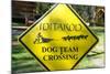 Close-up of an Iditarod Crossing Sign, Alaska-Rick Daley-Mounted Photographic Print