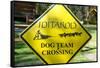 Close-up of an Iditarod Crossing Sign, Alaska-Rick Daley-Framed Stretched Canvas