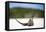 Close-Up of an Iguana on the Beach Near Staniel Cay, Exuma, Bahamas-James White-Framed Stretched Canvas