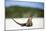 Close-Up of an Iguana on the Beach Near Staniel Cay, Exuma, Bahamas-James White-Mounted Photographic Print