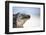 Close-Up of an Iguana on the Beach Near Staniel Cay, Exuma, Bahamas-James White-Framed Photographic Print