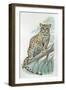 Close-Up of an Ocelot Sitting on the Branch of a Tree (Felis Pardalis)-null-Framed Giclee Print