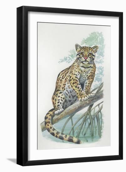 Close-Up of an Ocelot Sitting on the Branch of a Tree (Felis Pardalis)-null-Framed Giclee Print