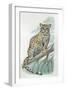 Close-Up of an Ocelot Sitting on the Branch of a Tree (Felis Pardalis)-null-Framed Giclee Print