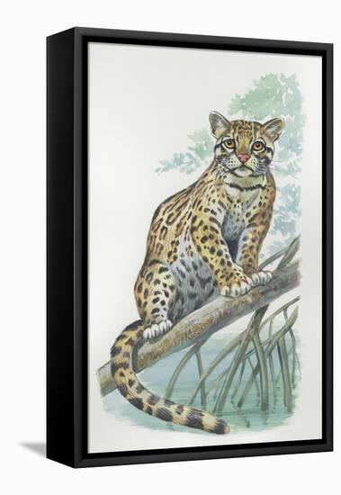 Close-Up of an Ocelot Sitting on the Branch of a Tree (Felis Pardalis)-null-Framed Stretched Canvas