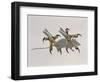 Close-Up of an Owl's Claws Reaching for a Mouse-null-Framed Giclee Print