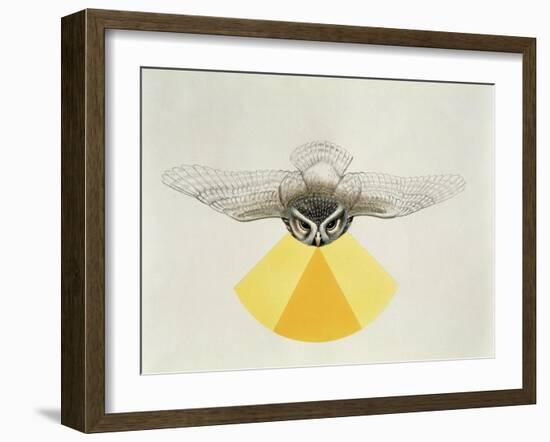 Close-Up of an Owl with its Field of Vision-null-Framed Giclee Print