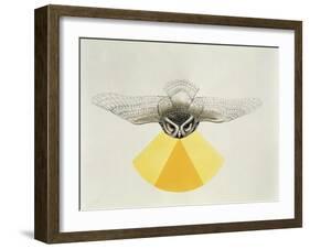 Close-Up of an Owl with its Field of Vision-null-Framed Giclee Print