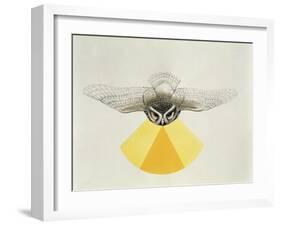 Close-Up of an Owl with its Field of Vision-null-Framed Giclee Print