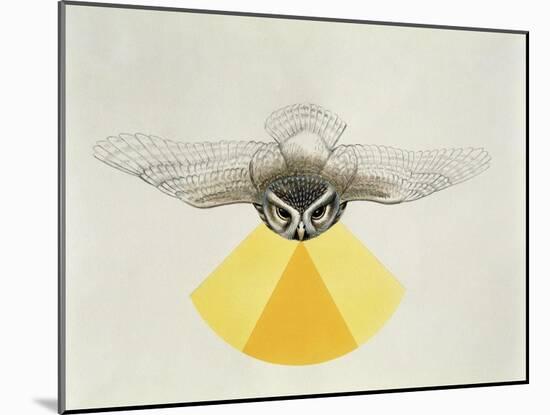 Close-Up of an Owl with its Field of Vision-null-Mounted Giclee Print