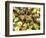 Close-up of Ants Harvesting Honeydew from Aphids, Lakeside, California, USA-Christopher Talbot Frank-Framed Photographic Print