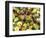 Close-up of Ants Harvesting Honeydew from Aphids, Lakeside, California, USA-Christopher Talbot Frank-Framed Photographic Print