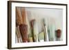 Close-Up of Artist's Brushes, Seabeck, Washington, USA-Jaynes Gallery-Framed Photographic Print