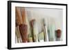 Close-Up of Artist's Brushes, Seabeck, Washington, USA-Jaynes Gallery-Framed Photographic Print