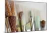 Close-Up of Artist's Brushes, Seabeck, Washington, USA-Jaynes Gallery-Mounted Photographic Print