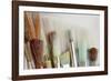 Close-Up of Artist's Brushes, Seabeck, Washington, USA-Jaynes Gallery-Framed Photographic Print
