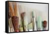 Close-Up of Artist's Brushes, Seabeck, Washington, USA-Jaynes Gallery-Framed Stretched Canvas