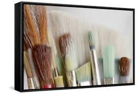 Close-Up of Artist's Brushes, Seabeck, Washington, USA-Jaynes Gallery-Framed Stretched Canvas