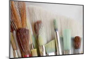 Close-Up of Artist's Brushes, Seabeck, Washington, USA-Jaynes Gallery-Mounted Photographic Print