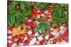 Close-Up of Autumn Leaves on Ground-Craig Tuttle-Stretched Canvas