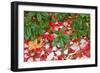 Close-Up of Autumn Leaves on Ground-Craig Tuttle-Framed Photographic Print