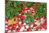 Close-Up of Autumn Leaves on Ground-Craig Tuttle-Mounted Photographic Print