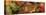 Close up of autumn leaves-Panoramic Images-Stretched Canvas