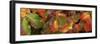 Close up of autumn leaves-Panoramic Images-Framed Photographic Print