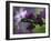 Close-Up of Azalea Flowers and Buds, Winterthur Gardens, Delaware, USA-null-Framed Photographic Print