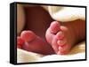 Close-up of Baby's Feet-Mitch Diamond-Framed Stretched Canvas