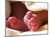 Close-up of Baby's Feet-Mitch Diamond-Mounted Photographic Print