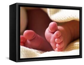Close-up of Baby's Feet-Mitch Diamond-Framed Stretched Canvas