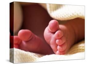 Close-up of Baby's Feet-Mitch Diamond-Stretched Canvas