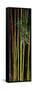 Close-Up of Bamboos, Kanapaha Botanical Gardens, Gainesville, Florida, USA-null-Framed Stretched Canvas