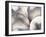 Close-up of Baseballs-null-Framed Premium Photographic Print